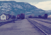 Dale Yanke, Calgary, AB