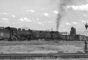 Kelowna Yard